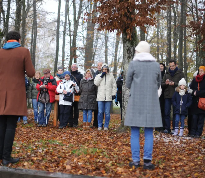 17-11-19_malsaucy-10.jpg