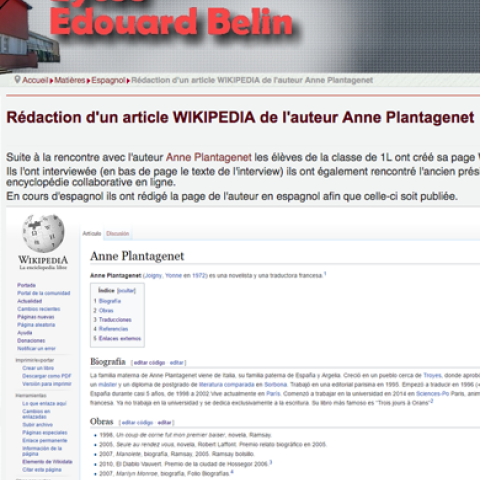 17-01-19_plantagenet-wiki-belin_acc.png