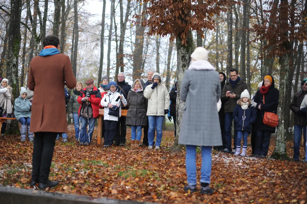 17-11-19_malsaucy-10.jpg