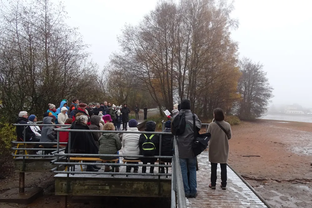 17-11-19_malsaucy-14.jpg